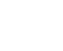 Special Solutions GmbH